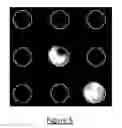 Fig. 04 - Control marker for implementing analysis methods on spots