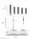 Fig. 05 - Predictive biomarkers for detection of organ damage in autoimmune illnesses and other diseases