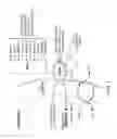 Fig. 02 - Methods for single chain variable region ENOX2 antibodies for cancer detection and diagnosis
