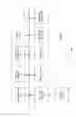 Fig. 07 - Stain-free protein quantification and normalization