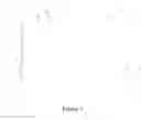 Fig. 03 - Apparatus and method for time correlated signal acquisition and viewing