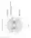 Fig. 10 - Hermetically sealed hydrophones with very low acceleration sensitivity