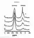 Fig. 06 - NMR in kinetics of hydrocarbon generation