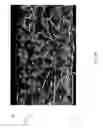 Fig. 07 - Large area format sapphire windows via transient liquid phase bonding