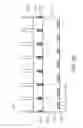 Fig. 12 - Methods for farbricating double-lens structures