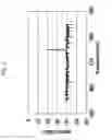 Fig. 07 - OPTICAL ELEMENT AND MANUFACTURING METHOD THEREFOR
