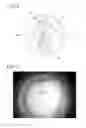 Fig. 08 - Optical fiber assembly, optical coupling device, and optical fiber coupling device