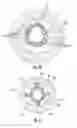 Fig. 08 - Rollable optical fiber ribbon