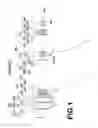 Fig. 02 - Variable magnification optical system and imaging apparatus