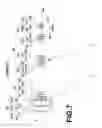 Fig. 08 - Variable magnification optical system and imaging apparatus