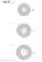 Fig. 13 - Stimulated emission depletion microscope