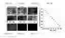Fig. 03 - Imaging assemblies with rapid sample auto-focusing