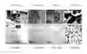 Fig. 07 - Imaging assemblies with rapid sample auto-focusing