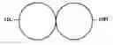 Fig. 01 - Stereoscopic reflector