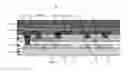 Fig. 01 - Array substrate and display panel