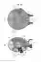 Fig. 16 - Mounting device and imaging unit
