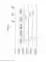Fig. 11 - Image forming apparatus