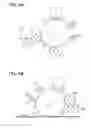 Fig. 05 - Image forming apparatus