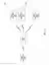 Fig. 07 - Method, system and related devices for operating multiple cranes in unison