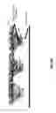 Fig. 11 - Methods and apparatus concerning sensitive force sensors