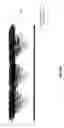 Fig. 12 - Methods and apparatus concerning sensitive force sensors