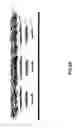 Fig. 13 - Methods and apparatus concerning sensitive force sensors