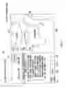 Fig. 12 - INFORMATION PROCESSING DEVICE, INFORMATION PROCESSING METHOD AND INFORMATION PROCESSING PROGRAM
