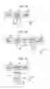 Fig. 08 - ELECTRONIC DEVICE AND CONTROL PROGRAM THEREFOR