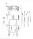 Fig. 12 - Data I/O circuits and semiconductor systems including the same