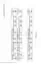 Fig. 04 - Parity stripe lock engine