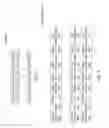 Fig. 03 - Parity stripe lock engine