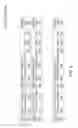 Fig. 04 - Parity stripe lock engine