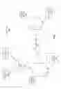 Fig. 02 - Reverse snapshot clone