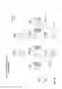 Fig. 10 - Reverse snapshot clone