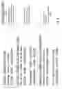Fig. 04 - Set-based Parsing for Computer-Implemented Linguistic Analysis