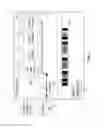 Fig. 02 - Disk image introspection for storage systems