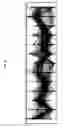 Fig. 09 - MULTIDIMENSIONAL DATA VISUALIZATION APPARATUS, METHOD, AND PROGRAM