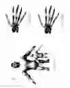 Fig. 24 - Linear blend skinning weight optimization utilizing skeletal pose sampling