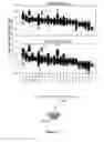 Fig. 02 - Systems, compositions, and methods for discovery of MSI and neoepitopes that predict sensitivity to checkpoint inhibitors