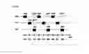 Fig. 19 - METHODS FOR FLUORESCENCE DATA CORRECTION