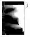 Fig. 07 - Method and apparatus for anonymized display and data export
