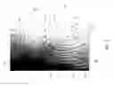 Fig. 03 - Sweat Pores Imaging Method and Device