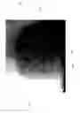 Fig. 09 - Sweat Pores Imaging Method and Device