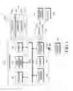 Fig. 02 - Electronic device and method for sharing image