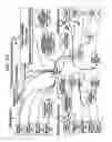 Fig. 45 - MULTIFACE DOCUMENT