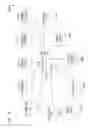 Fig. 22 - SEND MONEY PLUG IN FOR WEB MAILS