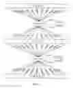 Fig. 09 - Virtual photorealistic digital actor system for remote service of customers