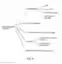 Fig. 06 - Highly scalable internet-based randomized experiment methods and apparatus for obtaining insights from test promotion results