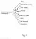Fig. 09 - Highly scalable internet-based randomized experiment methods and apparatus for obtaining insights from test promotion results