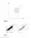 Fig. 03 - Method for the analysis of image data representing a three-dimensional volume of biological tissue